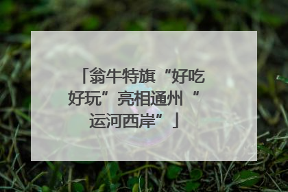翁牛特旗“好吃好玩”亮相通州“运河西岸”