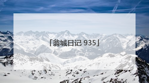 翁城日记 935