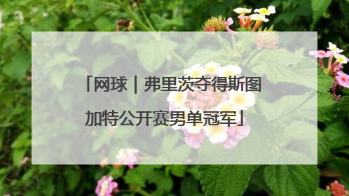 网球｜弗里茨夺得斯图加特公开赛男单冠军