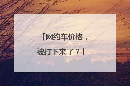 网约车价格，被打下来了？
