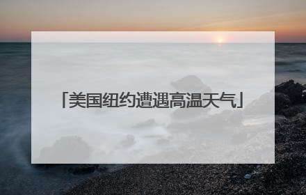 美国纽约遭遇高温天气