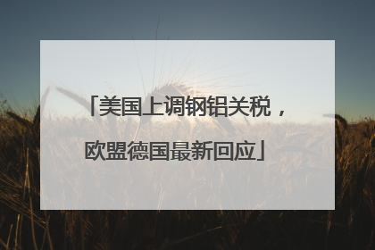 美国上调钢铝关税，欧盟德国最新回应