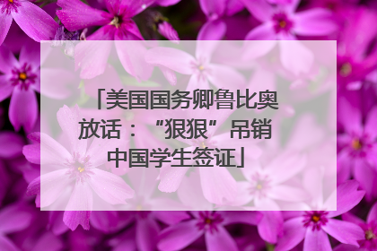美国国务卿鲁比奥放话：“狠狠”吊销中国学生签证