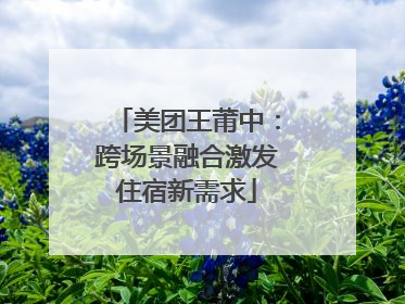 美团王莆中：跨场景融合激发住宿新需求