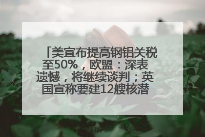 美宣布提高钢铝关税至50%，欧盟：深表遗憾，将继续谈判；英国宣称要建12艘核潜艇；马斯克最新发声：不想为美政府所做的一切承担责任丨早报