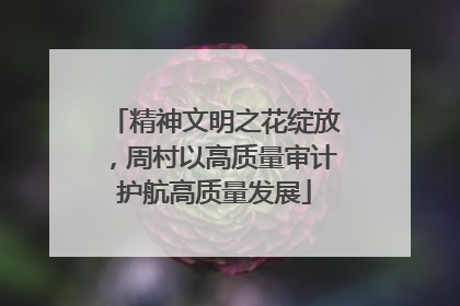 精神文明之花绽放，周村以高质量审计护航高质量发展