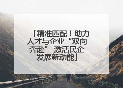 精准匹配！助力人才与企业“双向奔赴” 激活民企发展新动能