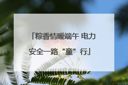 粽香情暖端午 电力安全一路“童”行