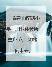 紫荆山南路小学：职业体验绘童心 六一实践向未来