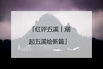 红评五溪丨潮起五溪绘新篇