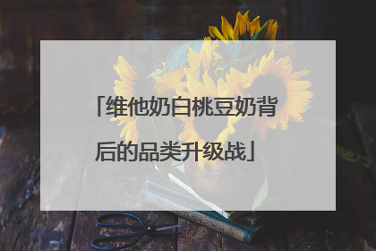 维他奶白桃豆奶背后的品类升级战