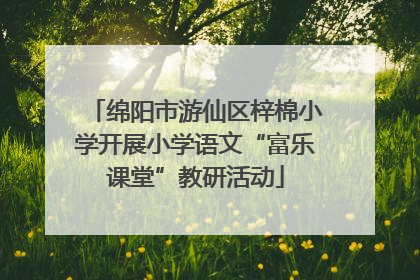 绵阳市游仙区梓棉小学开展小学语文“富乐课堂”教研活动