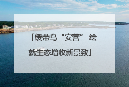 绶带鸟“安营” 绘就生态增收新景致