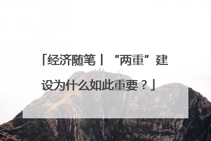 经济随笔丨“两重”建设为什么如此重要？