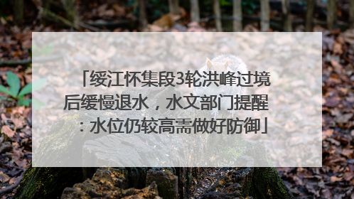 绥江怀集段3轮洪峰过境后缓慢退水，水文部门提醒：水位仍较高需做好防御