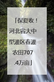 保夏收！河北省大中型灌区春灌农田707.4万亩