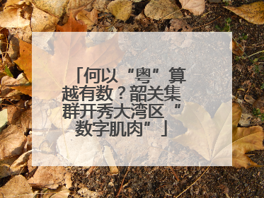 何以“粤”算越有数？韶关集群开秀大湾区“数字肌肉”