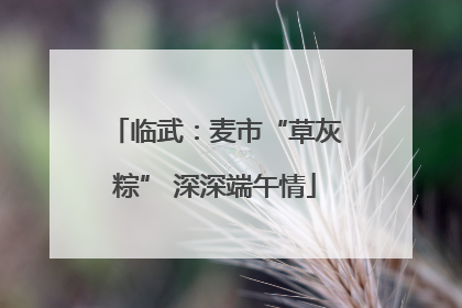 临武：麦市“草灰粽” 深深端午情