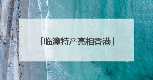 临潼特产亮相香港