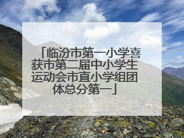 临汾市第一小学喜获市第二届中小学生运动会市直小学组团体总分第一