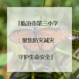临汾市第三小学：聚焦防灾减灾 守护生命安全