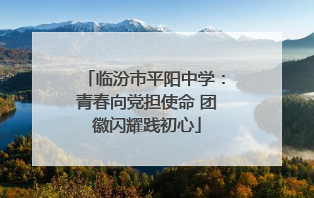 临汾市平阳中学：青春向党担使命 团徽闪耀践初心
