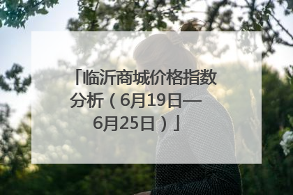 临沂商城价格指数分析（6月19日—6月25日）