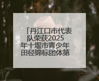 丹江口市代表队荣获2025年十堰市青少年田径锦标团体第一名