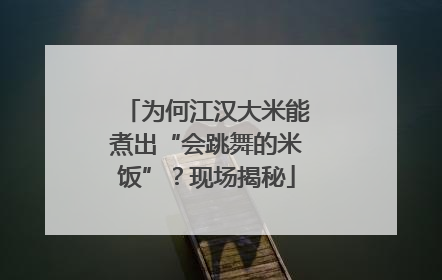 为何江汉大米能煮出“会跳舞的米饭”？现场揭秘