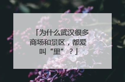 为什么武汉很多商场和景区，都爱叫“里”？