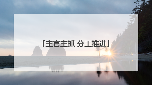 主官主抓 分工推进