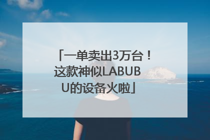 一单卖出3万台！这款神似LABUBU的设备火啦