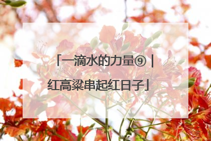 一滴水的力量⑨｜红高粱串起红日子