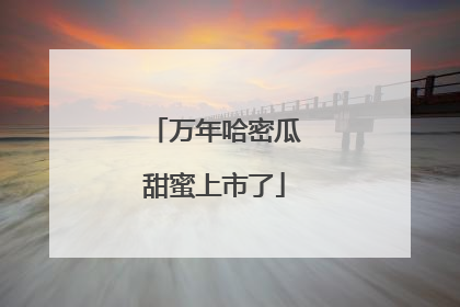 万年哈密瓜甜蜜上市了