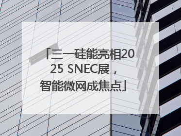 三一硅能亮相2025 SNEC展，智能微网成焦点