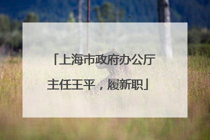 上海市政府办公厅主任王平，履新职