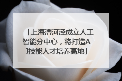 上海漕河泾成立人工智能分中心，将打造AI技能人才培养高地