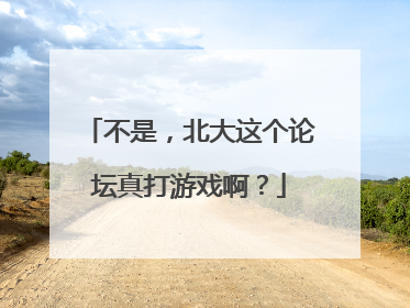 不是，北大这个论坛真打游戏啊？