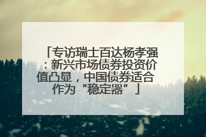 专访瑞士百达杨孝强：新兴市场债券投资价值凸显，中国债券适合作为“稳定器”
