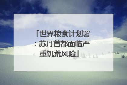 世界粮食计划署：苏丹首都面临严重饥荒风险