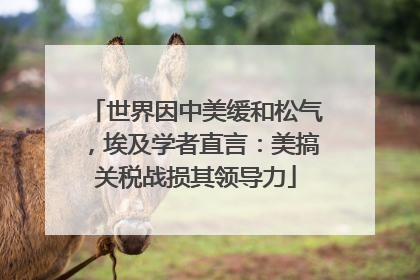 世界因中美缓和松气，埃及学者直言：美搞关税战损其领导力