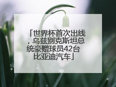 世界杯首次出线，乌兹别克斯坦总统豪赠球员42台比亚迪汽车