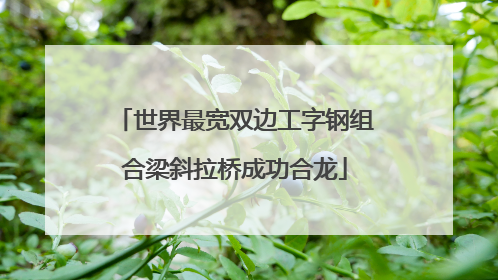 世界最宽双边工字钢组合梁斜拉桥成功合龙