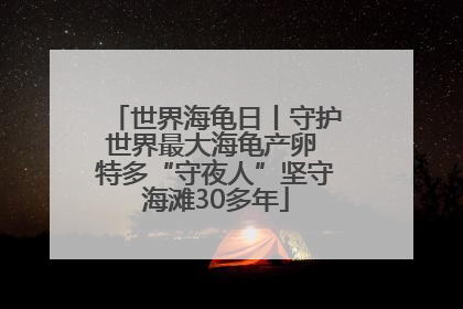 世界海龟日丨守护世界最大海龟产卵 特多“守夜人”坚守海滩30多年