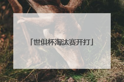 世俱杯淘汰赛开打