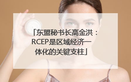 东盟秘书长高金洪：RCEP是区域经济一体化的关键支柱