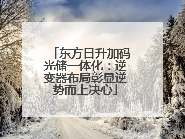 东方日升加码光储一体化：逆变器布局彰显逆势而上决心