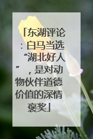 东湖评论：白马当选“湖北好人”，是对动物伙伴道德价值的深情褒奖