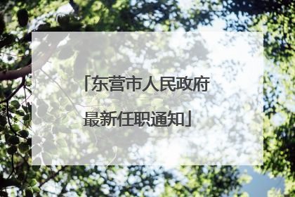东营市人民政府最新任职通知