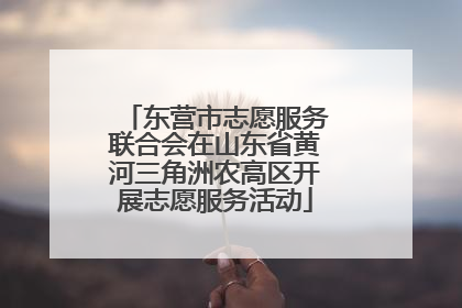 东营市志愿服务联合会在山东省黄河三角洲农高区开展志愿服务活动